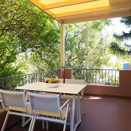 Anemy * 스파르티아